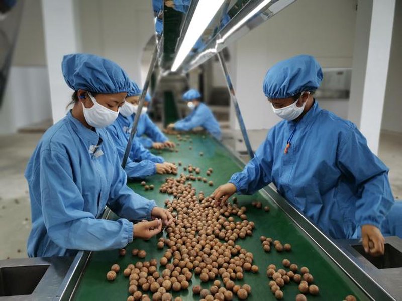 恒温恒湿试验箱在电子元件测试中的应用探析